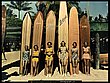 sexy_surfer_girls_06.jpg